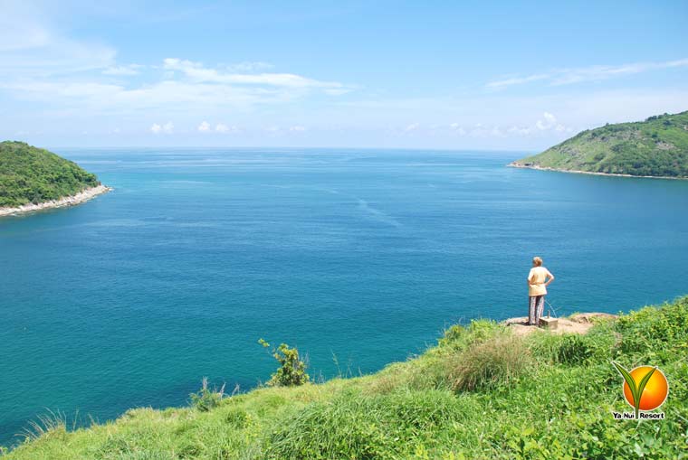 The Andaman Watcher The Andaman Watcher