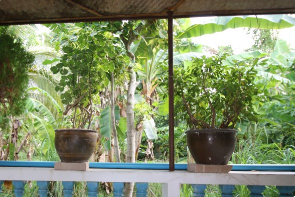 residence_terrasse residence terrasse