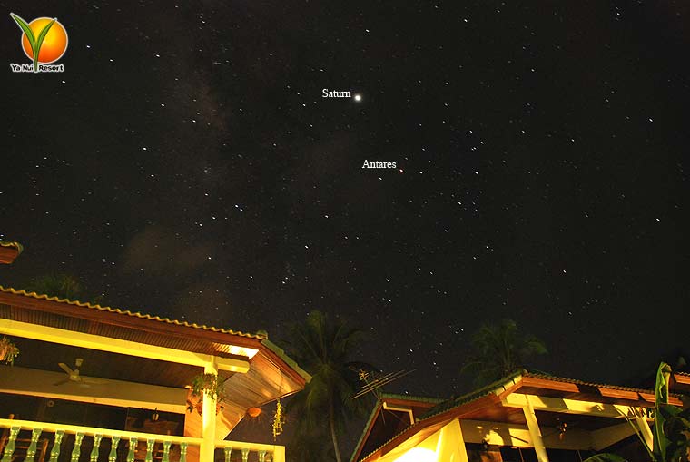 Starry Night Starry Night