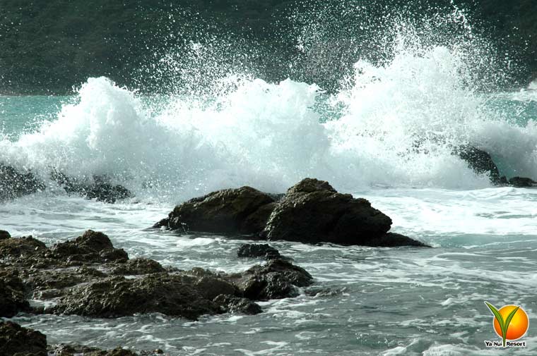 Waves meeting the Reef Waves meeting the Reef